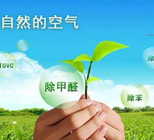 甲醛超標(biāo)怎么判斷呢？