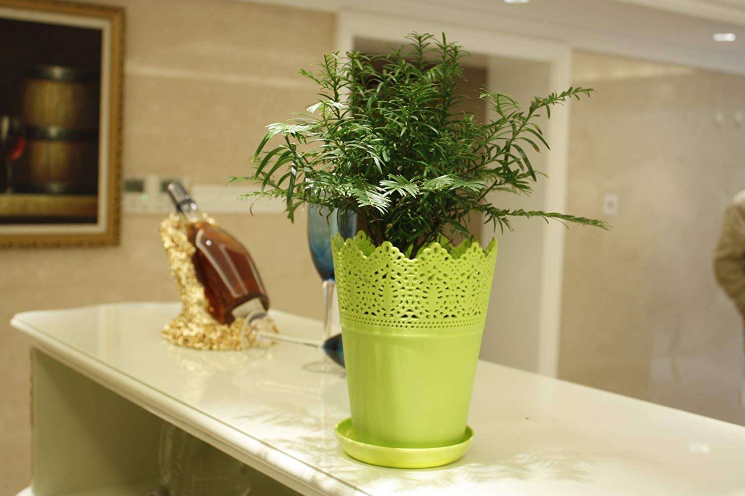 除甲醛植物效果如何？
